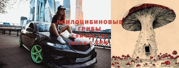 таблы Няндома