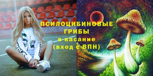 крисы Нязепетровск